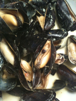 Moules de Bouchot coco curry