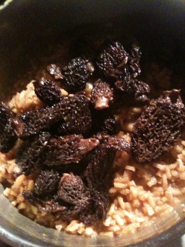 Risotto morilles