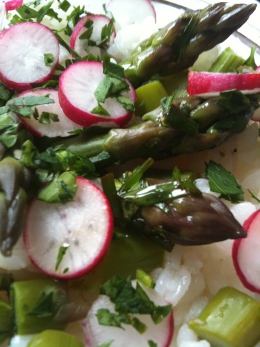 Salade de riz asperges vertes radis