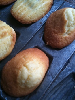 Madeleines 2