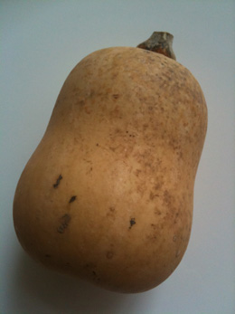 Butternut